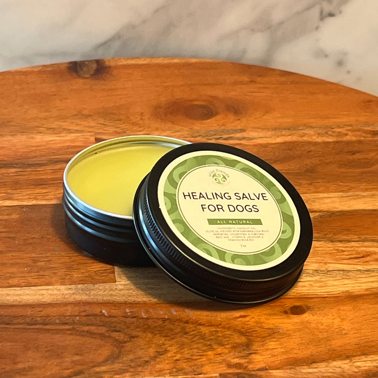 Healing Salve for Dogs